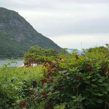 Apartman Fjordside